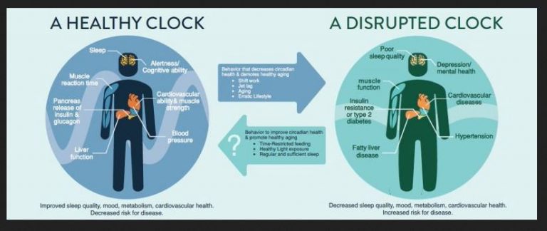 Re Align Your Circadian Rhythm And Supercharge Your Body To Loose Weight Circadian Blue Light