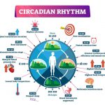How to Prevent Circadian Rhythm Disorder