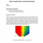 Effect Of Light Colors On Bean Plant Growth
