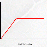 Effect Of Light On Photosynthesis