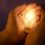 Effect Of The Light Bulb
