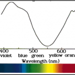 Effect Of White Light On Photosynthesis