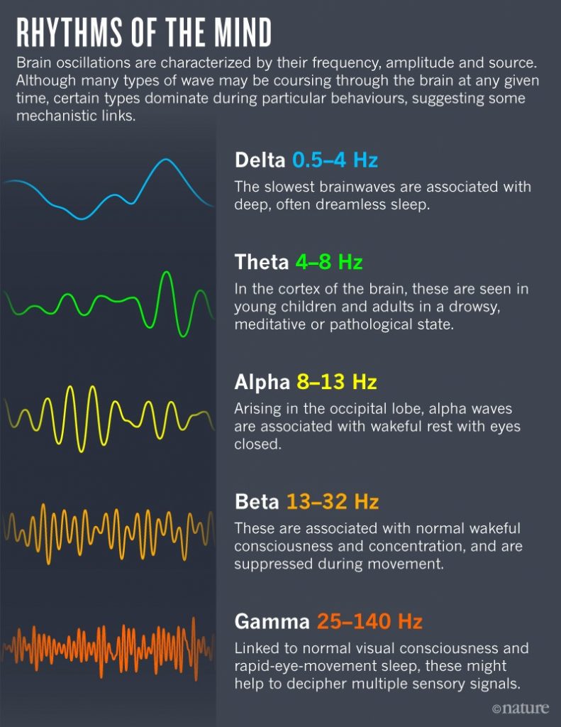Effects Of Flashing Lights On The Brain Circadian Blue Light