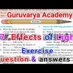 Effects Of Light Exercise