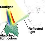 Effects Of Visible Light To Humans And Environment