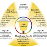 Effects Of Yellow Light On Humans