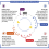 The Two Hormones That Control The Circadian Rhythm